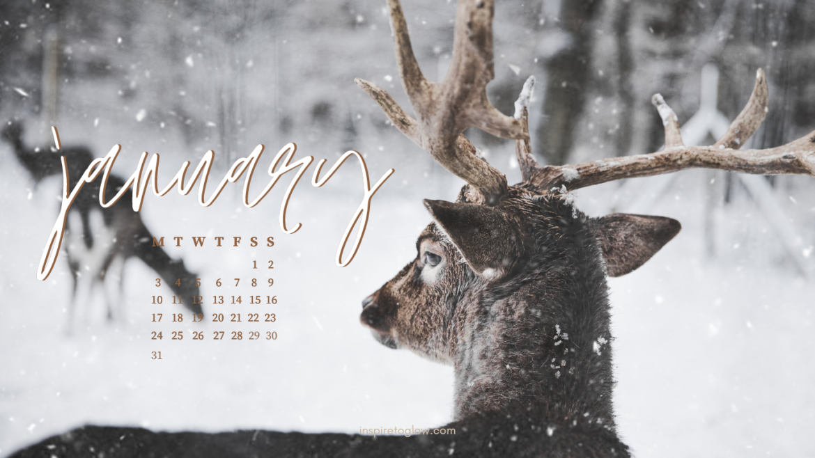 January 2022 Tech Background 3 - Calendar Monday Start - Snow forest aesthetic reindeers