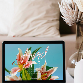 3 Free Online Tools That Will Boost Your Productivity