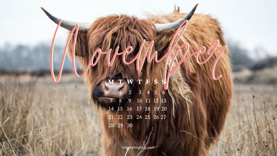Inspire to Glow Lifestyle & Wellness Blog - November 2022 Tech Backgrounds - Aesthetic Nature Animal Photography - Calendar Monday Start - Pink Typography - Cute brown yak fluffy cow - beige neutral tones - productivity desk setup