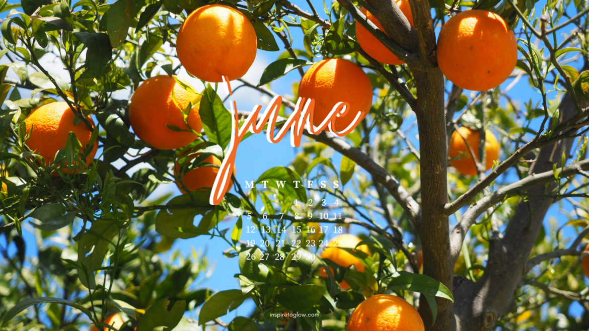 Inspire to Glow June 2023 Tech Background Desktop Wallpaper - Photography Nature Orange Tree in Summer - Calendar with a monday start
