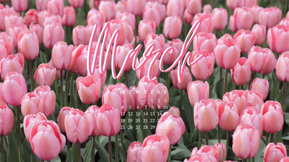Inspire to Glow March 2024 Tech Background - Pretty Desktop Wallpaper - Spring Aesthetic Vibes - Field of pink tulips flowers - desktop background with calendar