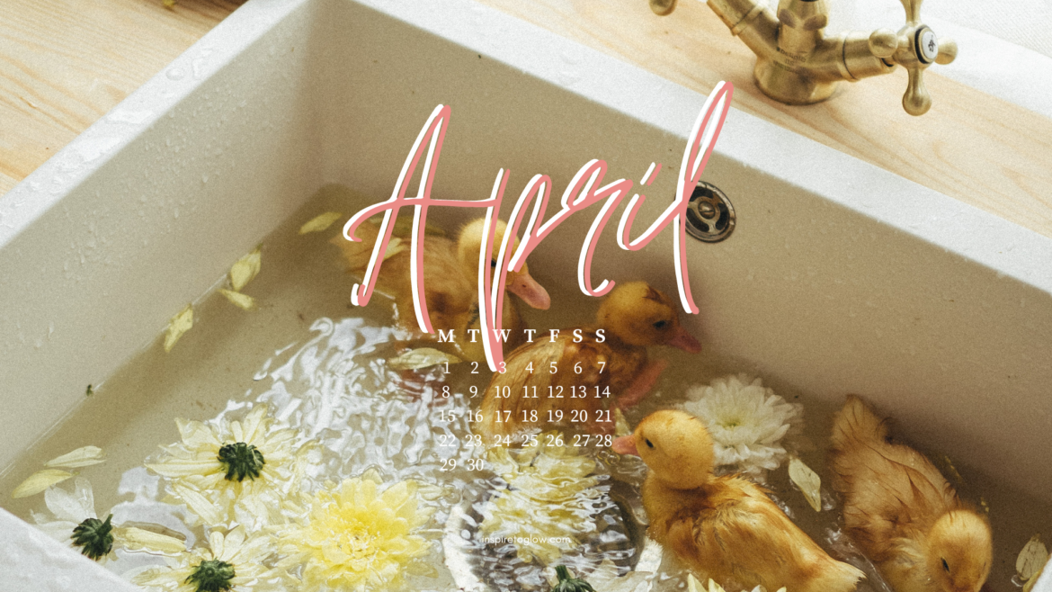 April 2024 Tech Background - Desktop Wallpaper with calendar - Spring Vibes Aesthetic Photography - kitchen sink with cute little yellow ducks ducklings