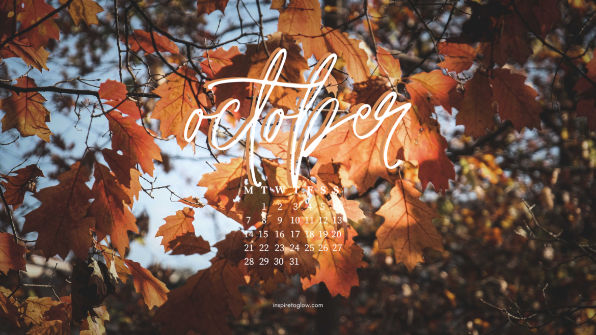 October 2024 Tech Background - Pretty Autumn Wallpaper - Fall Leaves Photography - Desktop Wallpaper with calendar